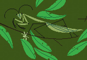Praying Mantis