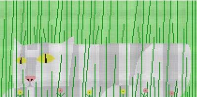 Spring Creeper - 18M