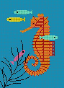 Seahorse - 18M