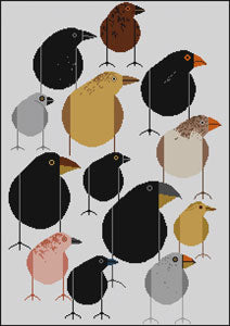 Darwin Finches