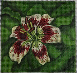 Red/Cream Tiger Lily