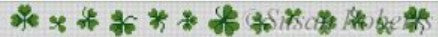 Shamrock Belt