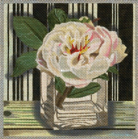 White Peony