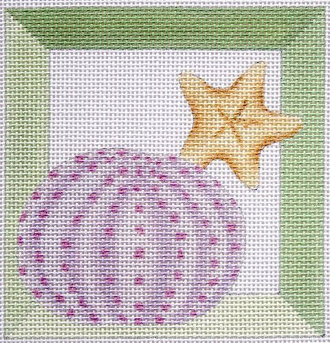 Sea Urchin Shadowbox