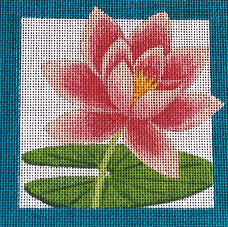 Water Lily Square