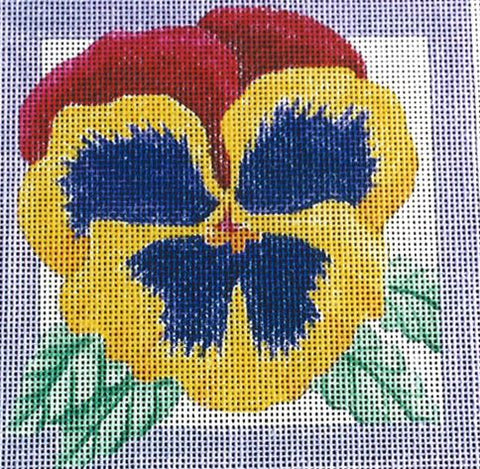 Pansy Square