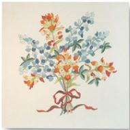 Bluebonnet w/Paintbrush
