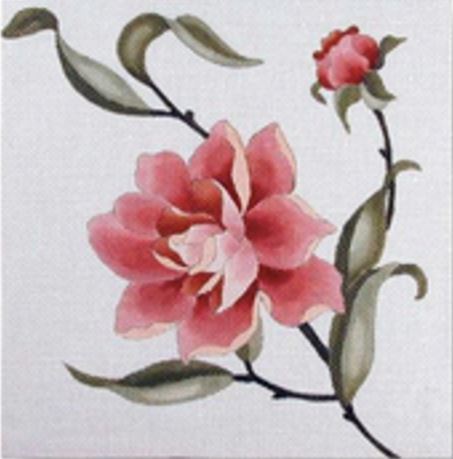 Peony 1 - 18M