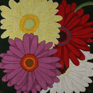 Giant Gerber Daisies