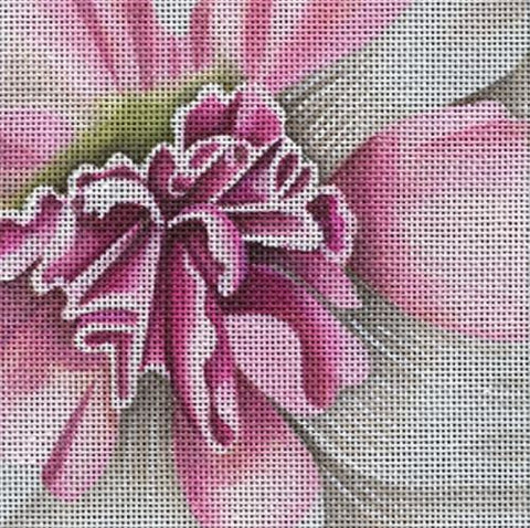 Hollyhock Coaster