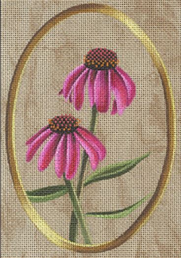 Purple Coneflower