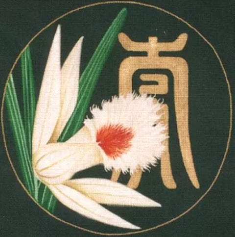 Williamsoni Orchid