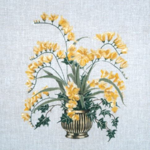 Freesia in Brass Pot