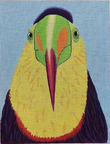 Flat Top Toucan - 13M