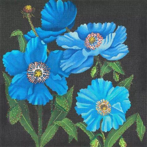 Giant Blue Himalayan Poppy