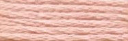 941 Carnation Pink Range - Needlepoint Inc Silk Skein