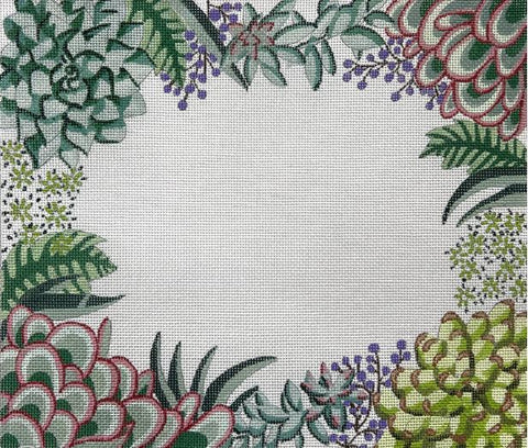 Succulent Tray
