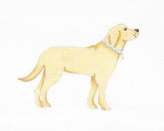 Golden Pup