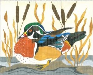 Wood Duck