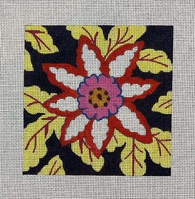 Orange and White Flower