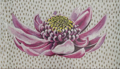 Lavender Blossom