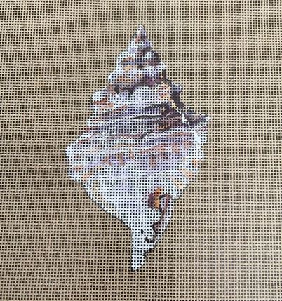 Conch