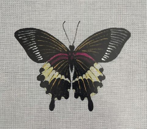 Butterfly - AN449