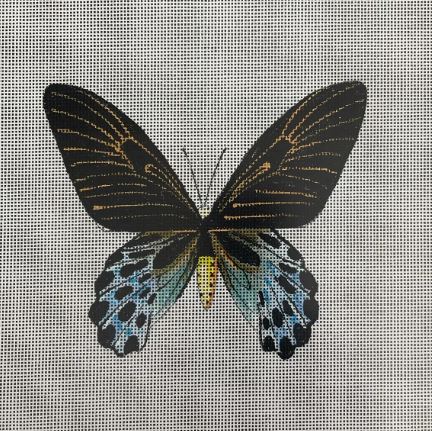 Butterfly - AN446