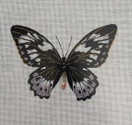 Butterfly - AN448