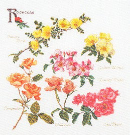 Rose Branches