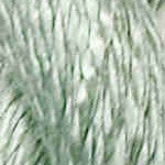 C-147 Bok Choy - Vineyard Silk Classic