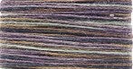 M922 Variegated Twilight - Mandarin Bamboo Floss