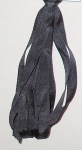Dinky Dyes 7mm Silk Ribbon 130 Black Coral