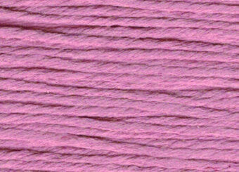 S814 Rose - Splendor