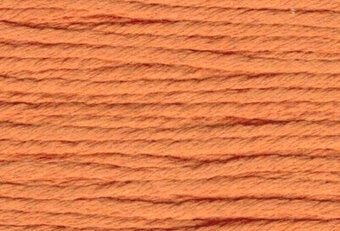 S817 Pumpkin - Splendor