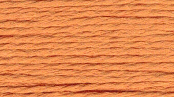 S839 Lite Pumpkin - Splendor
