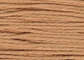 S841 Butterscotch - Splendor