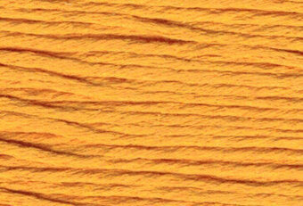 S877 Gold - Splendor