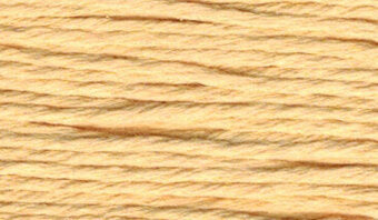 S878 Maize - Splendor