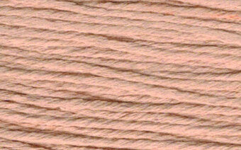 S896 Very Dark Flesh - Splendor