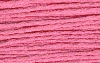 S897 Lite Coral - Splendor