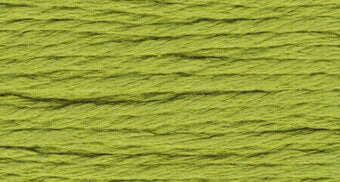 S956 Avocado - Splendor