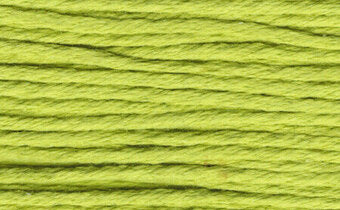 S983 Pale Olive - Splendor