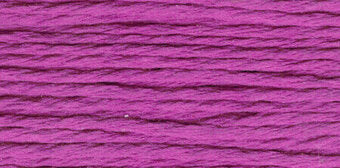 S997 Orchid - Splendor