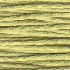 S1077 Very Lite Olive - Splendor