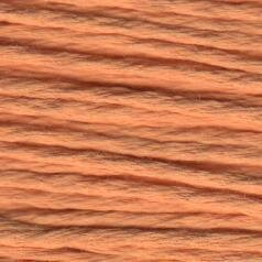 S1102 Apricot - Splendor