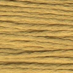 S1106 Mustard - Splendor