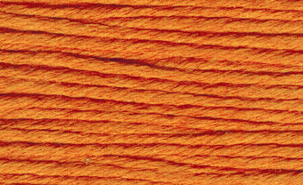 S1113 Dark Apricot - Splendor