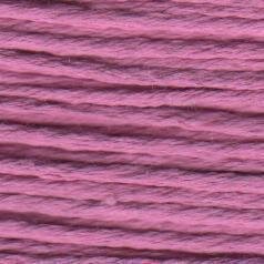 S1133 Antique Orchid - Splendor