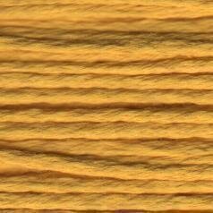 S1155 Brite Marigold - Splendor